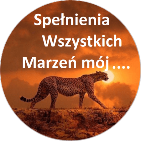 OPŁATEK NA TORT GEPARD KOT KOCIAK KOCUR 