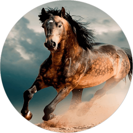 OPŁATEK NA TORT URODZINY KOŃ KONIK MUSTANG GALLOP