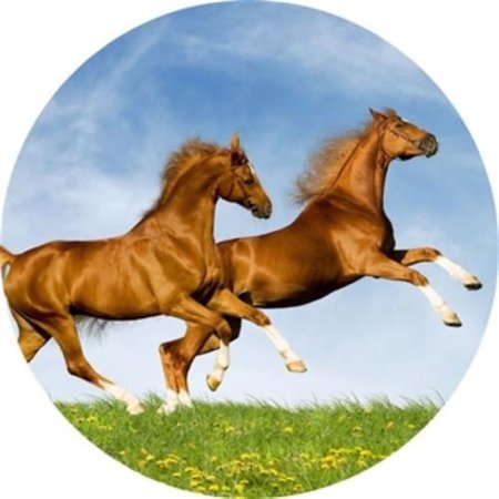 OPŁATEK NA TORT URODZINY KOŃ KONIK KONIE MUSTANG GALLOP 