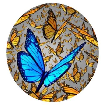 OPŁATEK NA TORT MOTYL MOTYLKI 